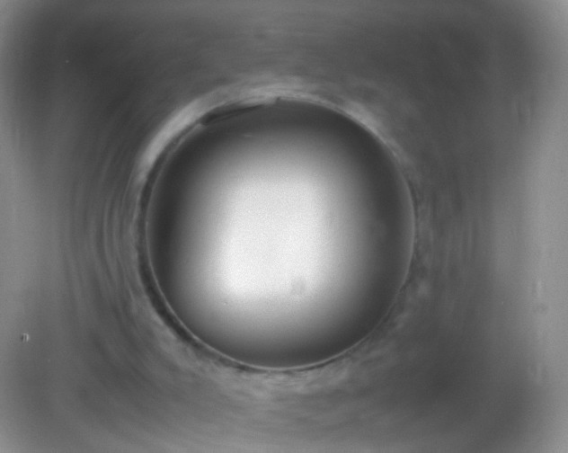 X0000082150007200701262320