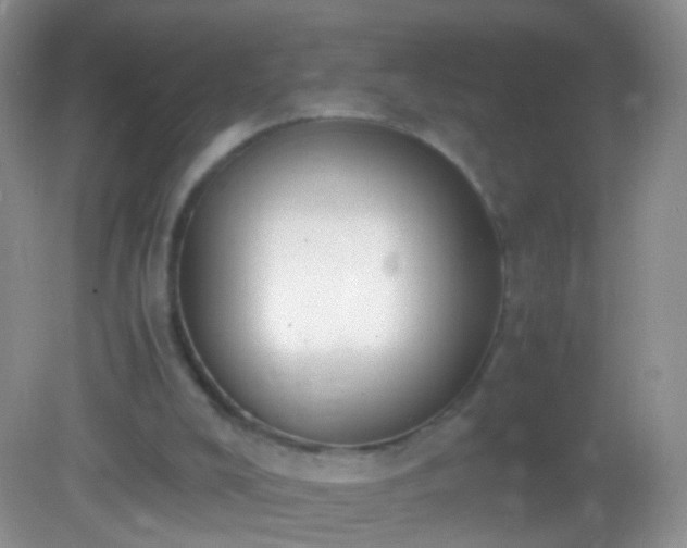 X0000082150008200701262320
