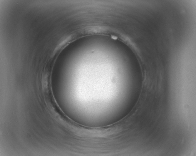 X0000082150010200701262320