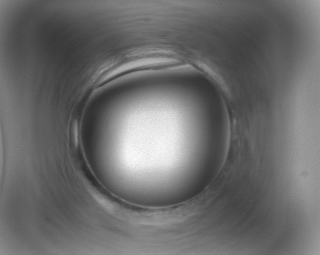 X0000082150013200701262320