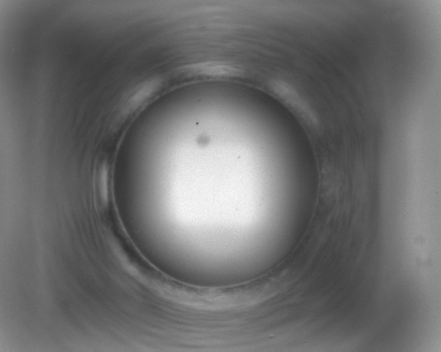 X0000082150014200701262320
