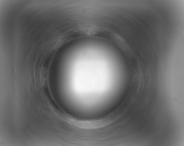 X0000082150030200701262320