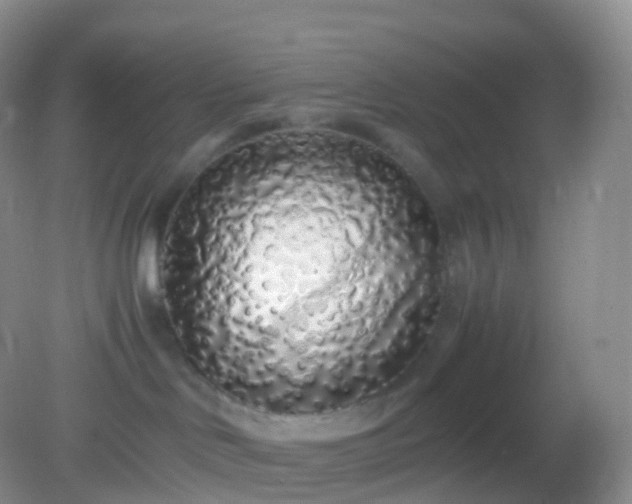 X0000082150046200701262319
