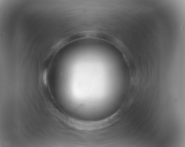 X0000082150047200701262319