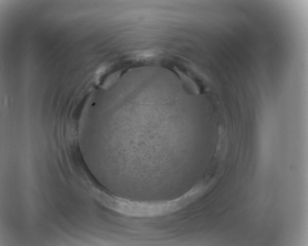 X0000082150048200701262319