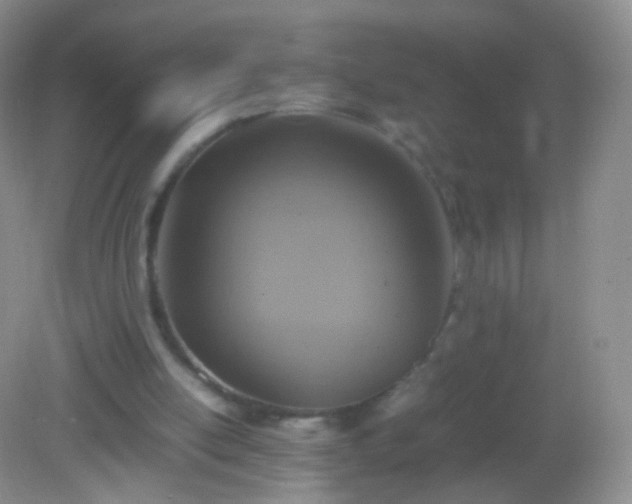 X0000082150054200701262319