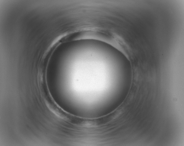 X0000082150060200701262319