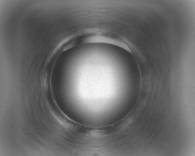 X0000082150064200701262319