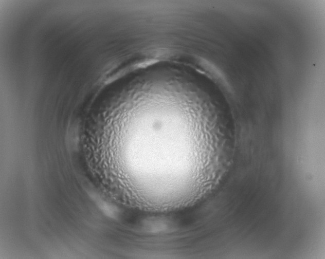 X0000082150065200701262319
