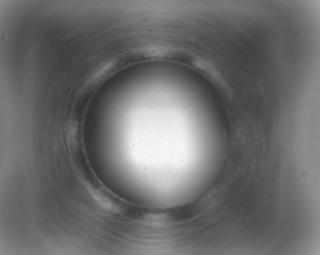 X0000082150066200701262319