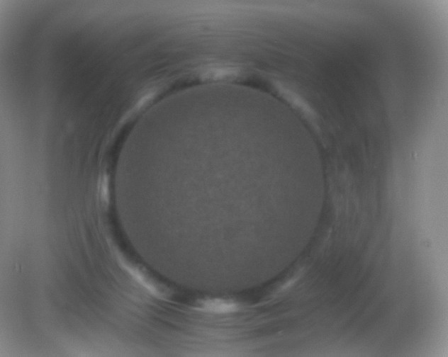 X0000082150067200701262319