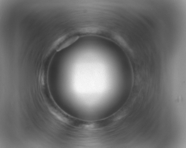 X0000082150068200701262319