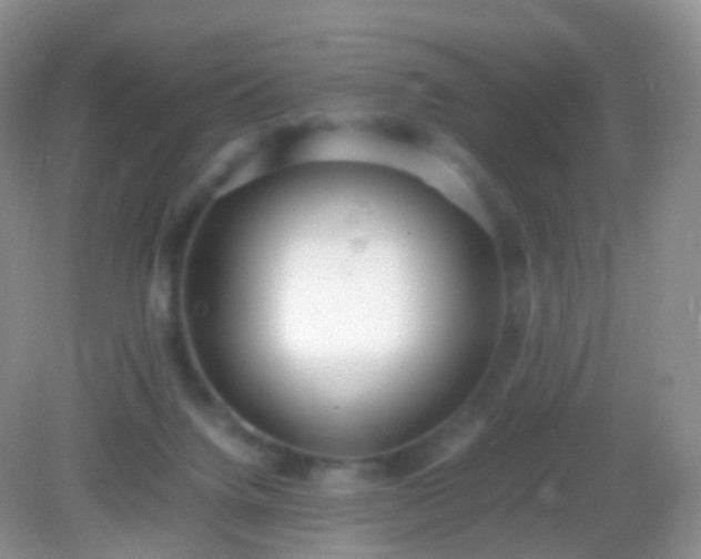 X0000082150072200701262319
