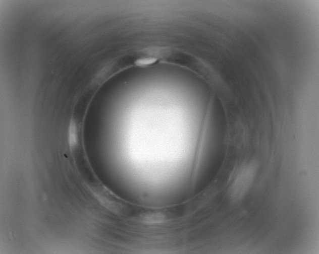 X0000082150075200701262319