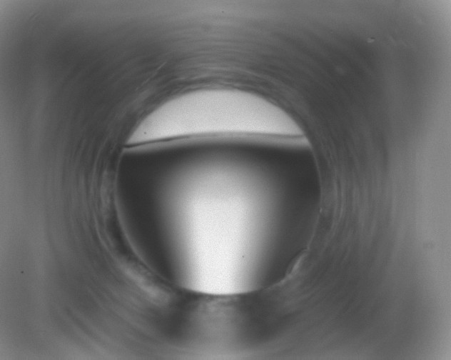 X0000082150078200701262319