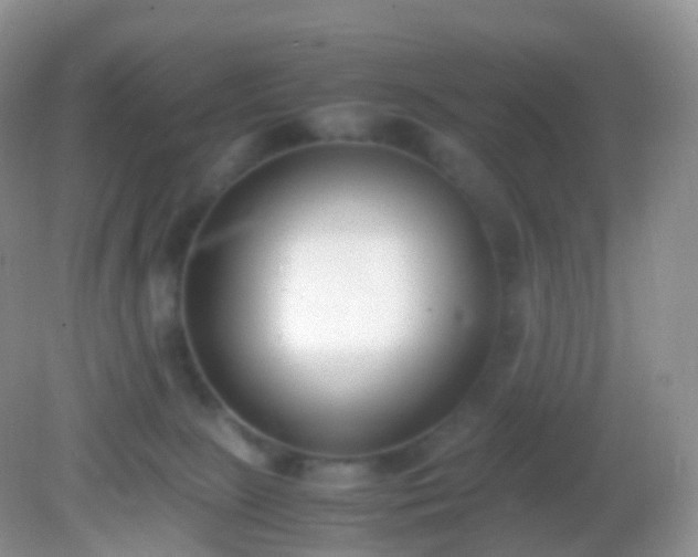X0000082150081200701262319
