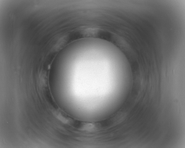 X0000082150083200701262319