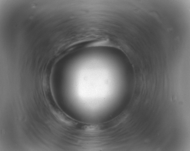 X0000082150088200701262319