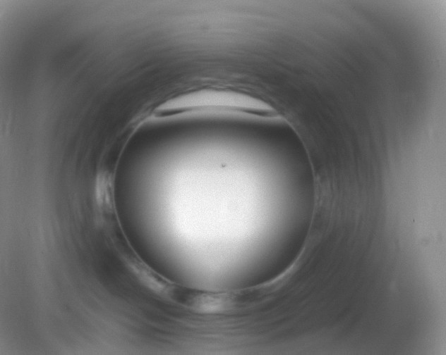 X0000082150094200701262319