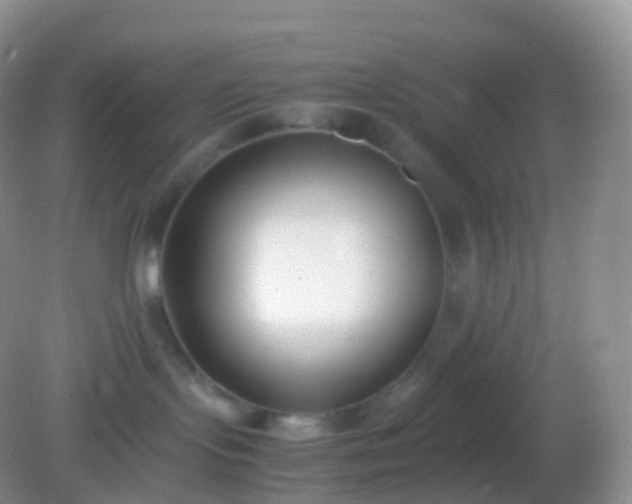 X0000082150095200701262319