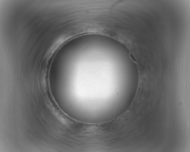 X0000082150098200701262319