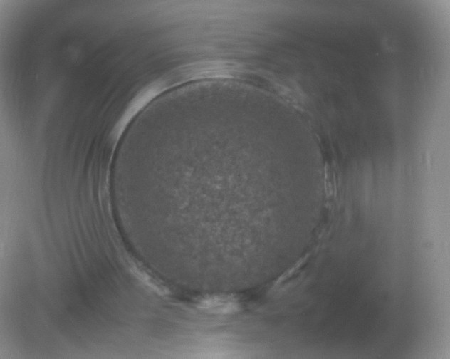 X0000082150099200701262319