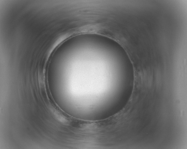 X0000082150100200701262319