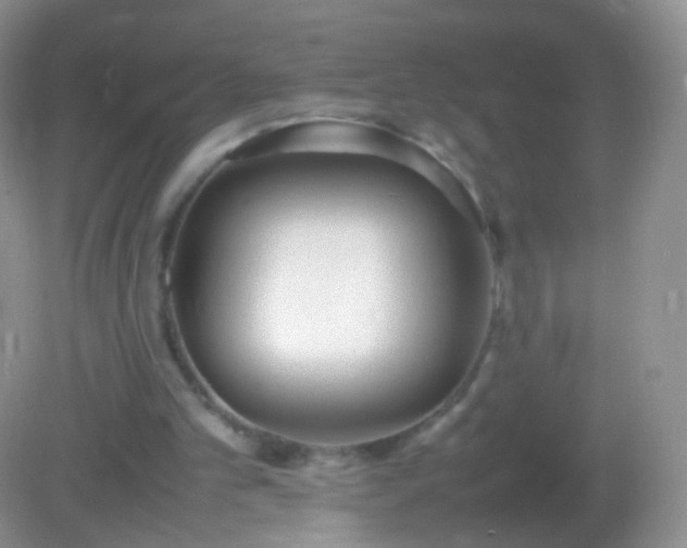 X0000082150101200701262319