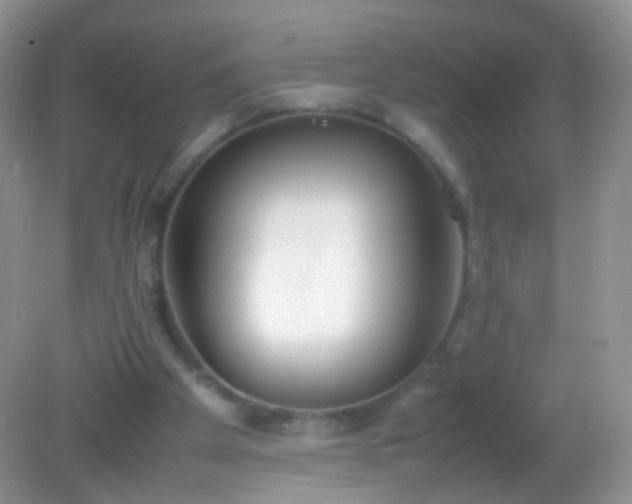 X0000082150105200701262319