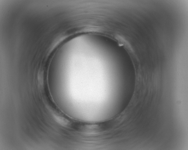 X0000082150108200701262318