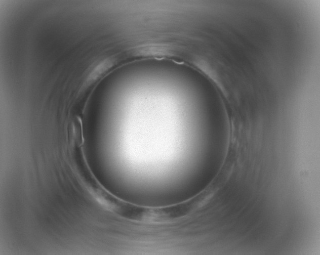 X0000082150109200701262318