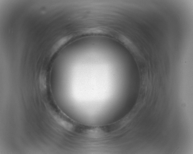 X0000082150112200701262318