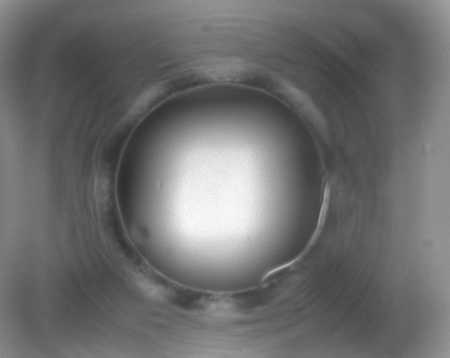 X0000082150113200701262318