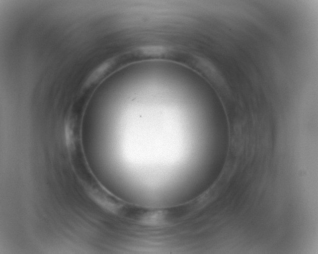 X0000082150116200701262318