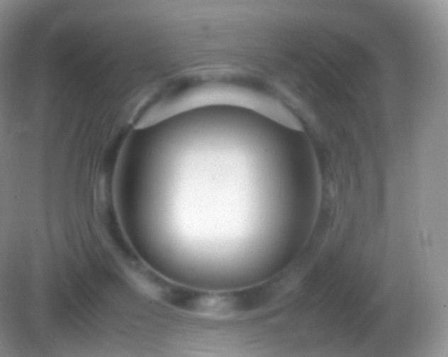 X0000082150117200701262318