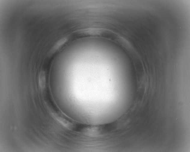 X0000082150120200701262318