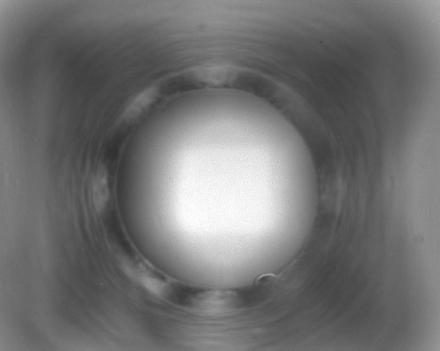 X0000082150128200701262318