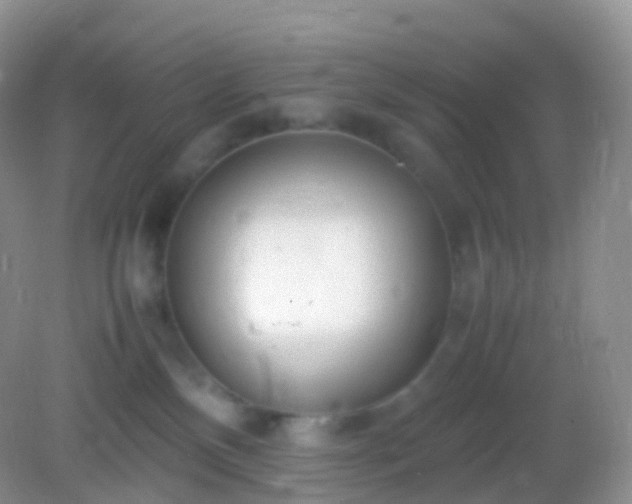 X0000082150136200701262318