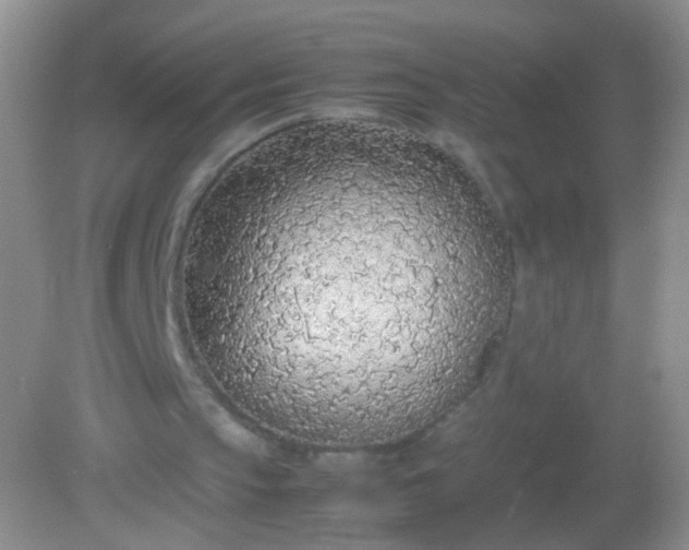 X0000082150145200701262317