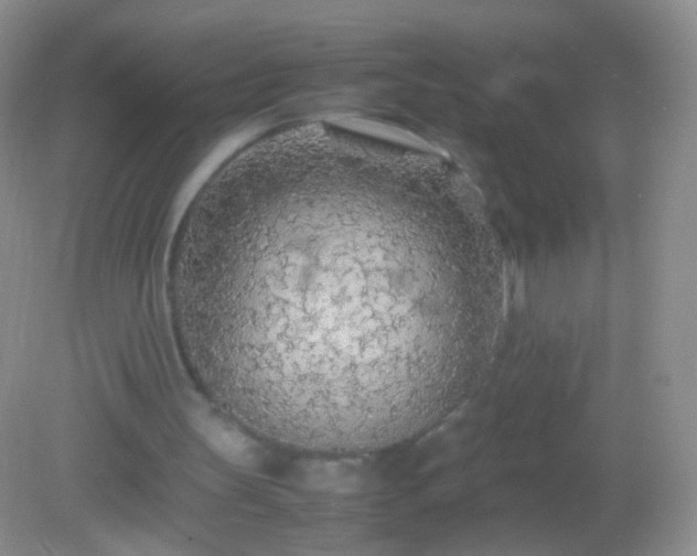 X0000082150147200701262317