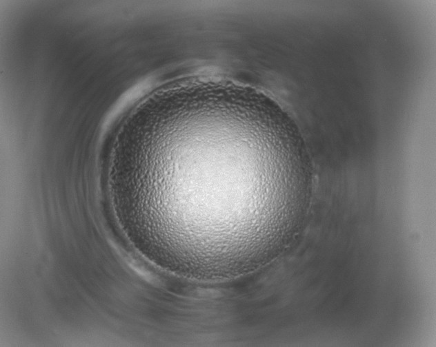 X0000082150149200701262317