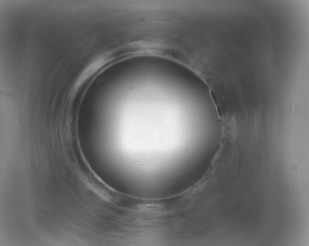 X0000082150150200701262317