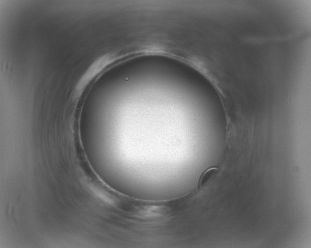 X0000082150151200701262317