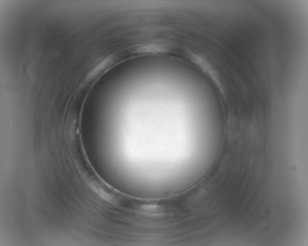 X0000082150153200701262317