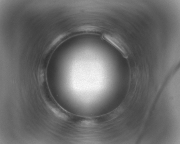 X0000082150160200701262317