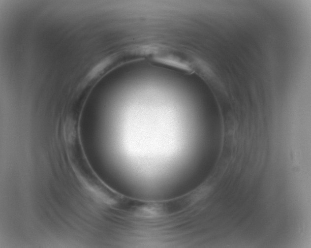 X0000082150164200701262317