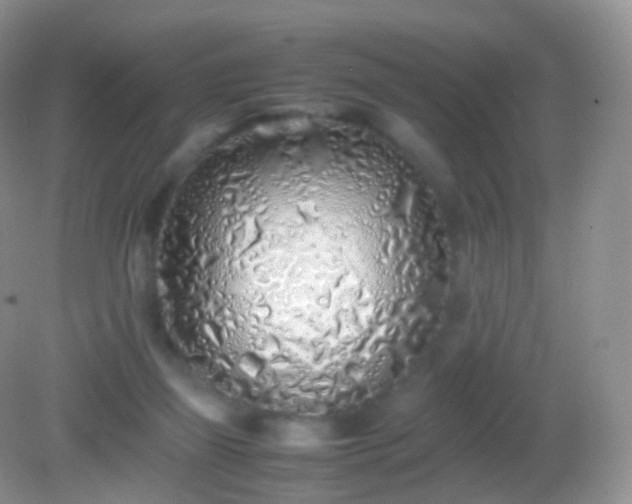 X0000082150165200701262317