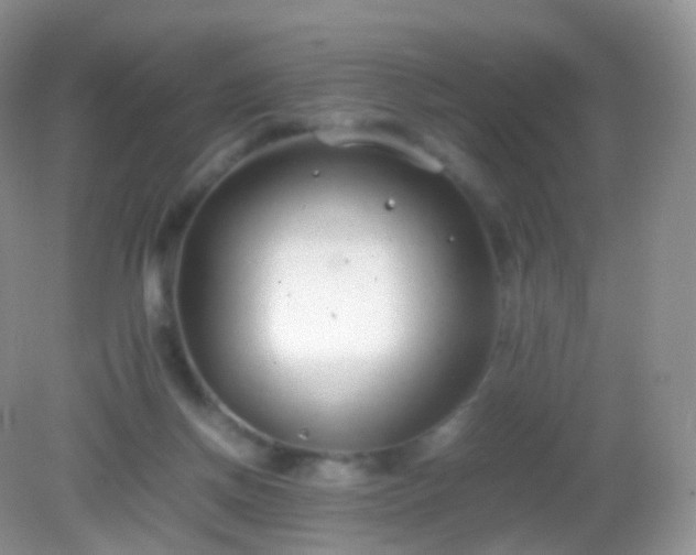 X0000082150166200701262317