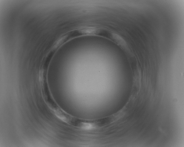 X0000082150167200701262317