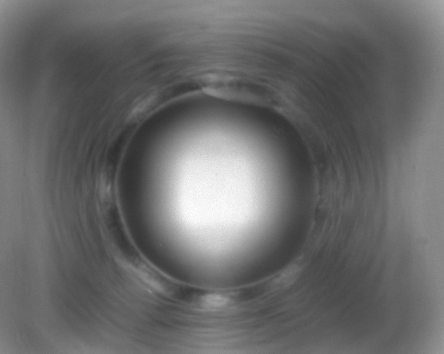 X0000082150176200701262318